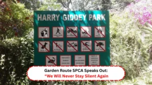 Garden Route SPCA Speaks Out “We Will Never Stay Silent Again