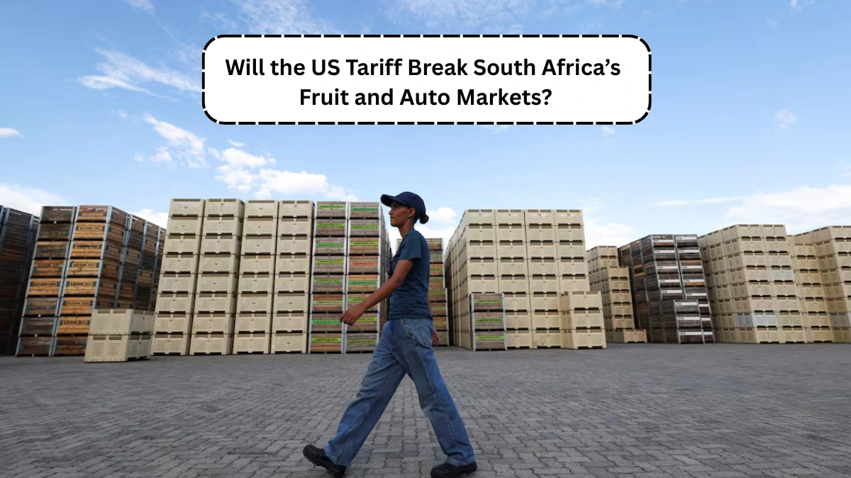 US Tariff Hits Citrus Industry Hard: 35 000 Jobs at Risk