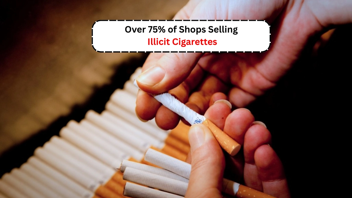 Illicit Cigarette Sales in South Africa Hit Record Highs
